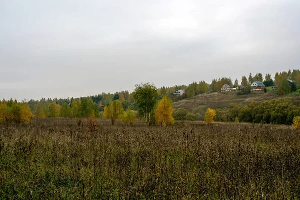 Krajobraz Pochmurny Jesienny Dzień Centralna Rosja — Zdjęcie stockowe