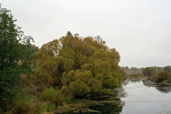 Small River Central Russia Autumn — 图库照片