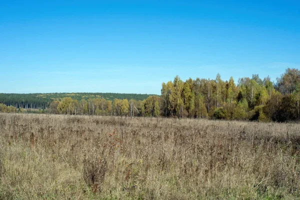 Paesaggio Nella Russia Centrale Una Giornata Limpida Autunno — Foto Stock