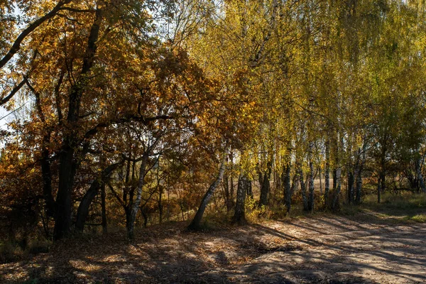 Пейзаж Центральной России Ясный День Осенью — стоковое фото