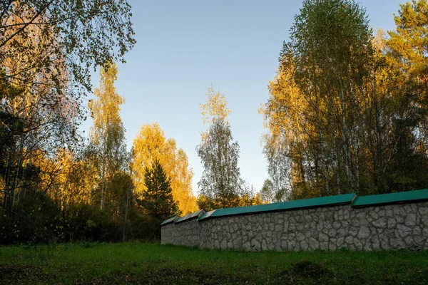 공원의 러시아 — 스톡 사진