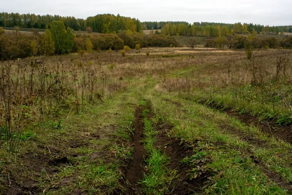 Paisaje Día Nublado Otoño Rusia Central — Foto de Stock