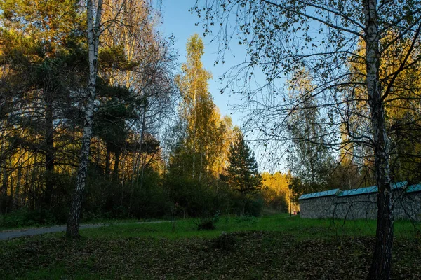 Ясна Осінь Історичному Парку Росія — стокове фото