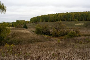 Rusya 'nın orta kesiminde bulutlu bir sonbahar gününde manzara