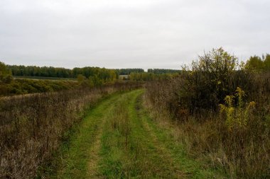Rusya 'nın orta kesiminde bulutlu bir sonbahar gününde manzara