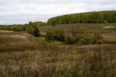 Rusya 'nın orta kesiminde bulutlu bir sonbahar gününde manzara