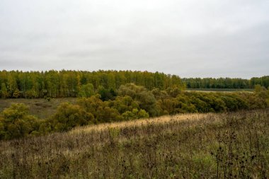 Rusya 'nın orta kesiminde bulutlu bir sonbahar gününde manzara