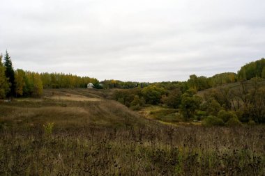 Rusya 'nın orta kesiminde bulutlu bir sonbahar gününde manzara