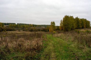 Rusya 'nın orta kesiminde bulutlu bir sonbahar gününde manzara