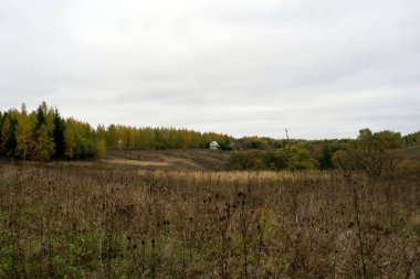 Rusya 'nın orta kesiminde bulutlu bir sonbahar gününde manzara