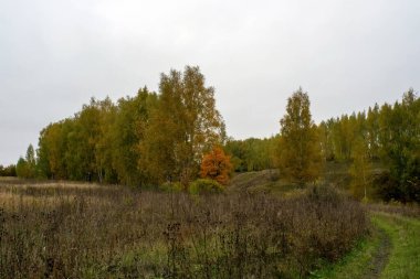 Rusya 'nın orta kesiminde bulutlu bir sonbahar gününde manzara