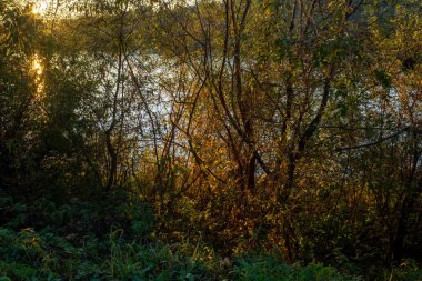 Sonbaharda, açık bir günde, büyük bir nehrin kıyısında.