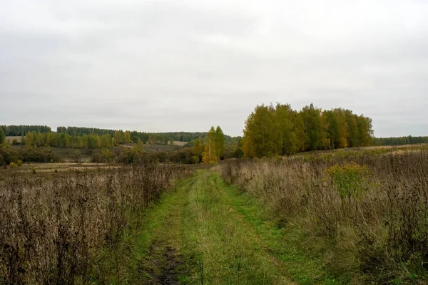 Landschap Een Bewolkte Herfstdag Centraal Rusland — Stockfoto