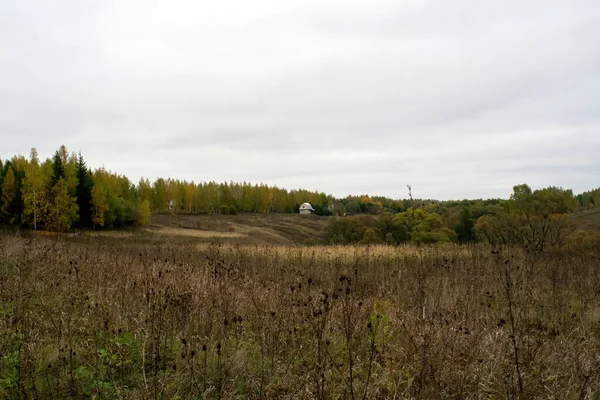 Krajobraz Pochmurny Jesienny Dzień Centralna Rosja — Zdjęcie stockowe