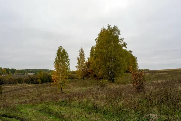 Paisagem Dia Outono Nublado Rússia Central — Fotografia de Stock