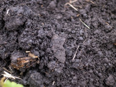 Yerde haç bulundu, metal araması.