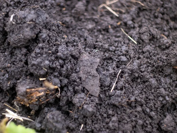 Cross Found Ground Metal Search — Fotografia de Stock