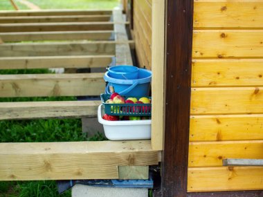 Yazın sepetteki elma hasadı