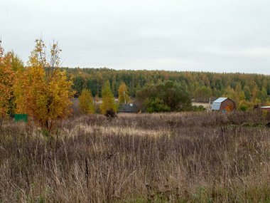 Rusya 'nın orta kesiminde bulutlu bir sonbahar gününde manzara