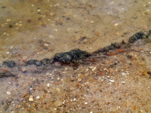 Yazın Nehirde Demir Bir Kablo Uzanıyor — Stok fotoğraf