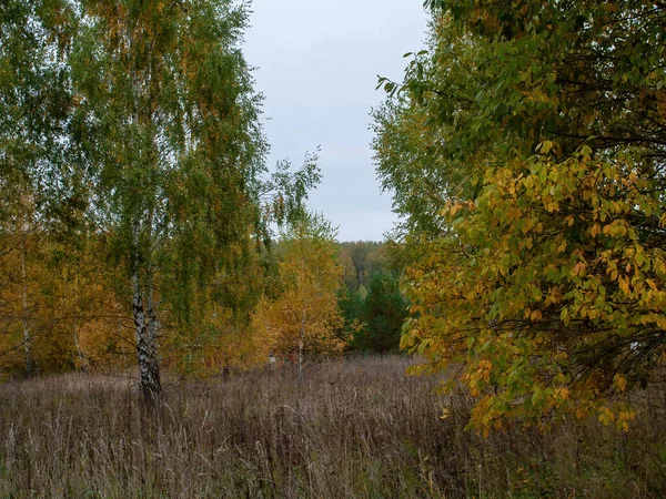 Landscape Cloudy Autumn Day Central Russia — Stock Photo, Image