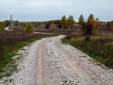 Sonbaharda, bulutlu bir günde çakıl taşralı bir yol.