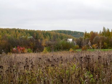 Rusya 'nın orta kesiminde bulutlu bir sonbahar gününde manzara