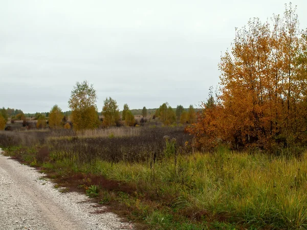 Eine Landstraße Aus Schotter Einem Bewölkten Tag Herbst — Stockfoto