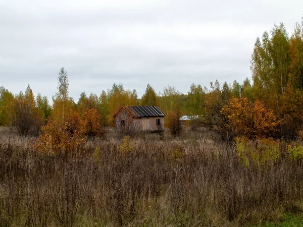 曇り空の秋の日ロシア中央部の風景 — ストック写真