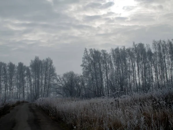 러시아 중부에서는 아침에 서리가 내렸다 — 스톡 사진