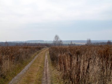 Sonbaharda, bulutlu bir günde tarlada toprak yol.