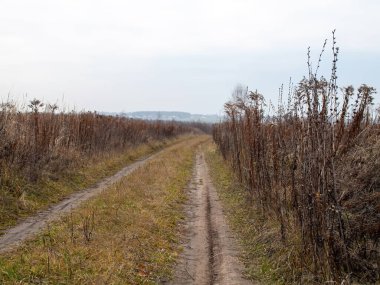 Sonbaharda, bulutlu bir günde tarlada toprak yol.