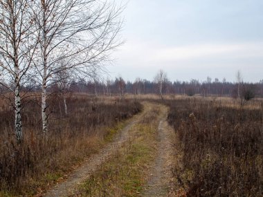 Sonbaharda, bulutlu bir günde tarlada toprak yol.