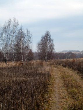 Sonbaharda, bulutlu bir günde tarlada toprak yol.