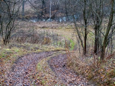 Sonbaharda, bulutlu bir günde tarlada toprak yol.