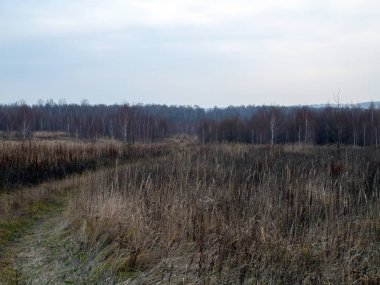 Toprak ve orman Bulutlu havada, sonbaharda