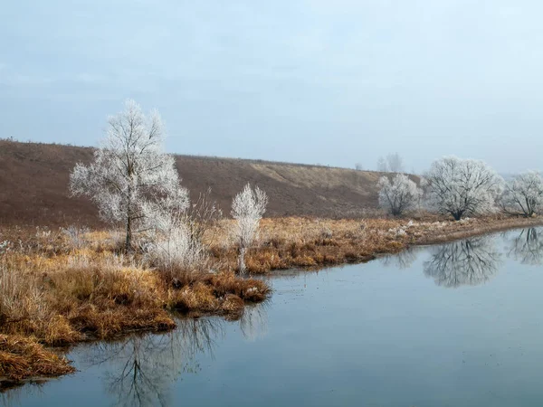 川の岸の霜で覆われた木々は秋には — ストック写真