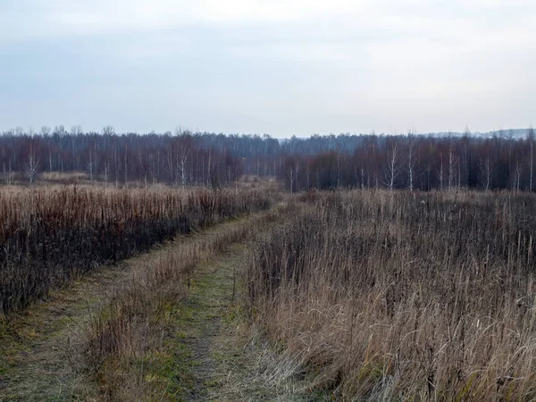 Грунтовая Дорога Через Поле Облачный День Осенью — стоковое фото