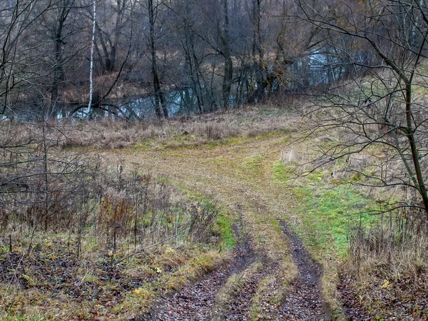 Droga Gruntowa Przez Pole Pochmurny Dzień Jesienią — Zdjęcie stockowe