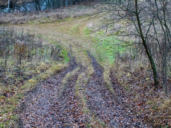 Droga Gruntowa Przez Pole Pochmurny Dzień Jesienią — Zdjęcie stockowe