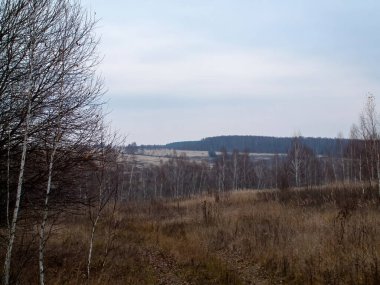 Toprak ve orman Bulutlu havada, sonbaharda