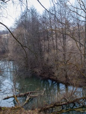 Sonbaharda, bulutlu bir günde, küçük bir orman nehrinin kıyısında.