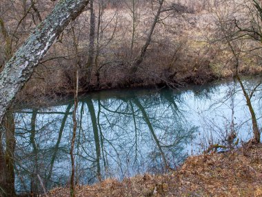 Sonbaharda, bulutlu bir günde, küçük bir orman nehrinin kıyısında.