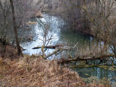 Sonbaharda, bulutlu bir günde, küçük bir orman nehrinin kıyısında.