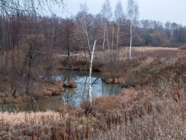 Sonbaharda, bulutlu bir günde, küçük bir orman nehrinin kıyısında.