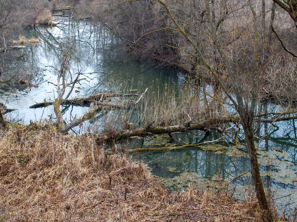 Egy Kis Erdei Folyó Partja Egy Felhős Napon Ősszel — Stock Fotó