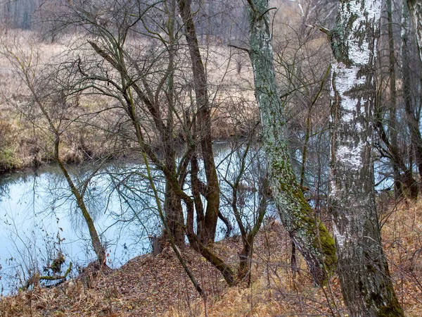 Das Ufer Eines Kleinen Waldflusses Einem Bewölkten Tag Herbst — Stockfoto