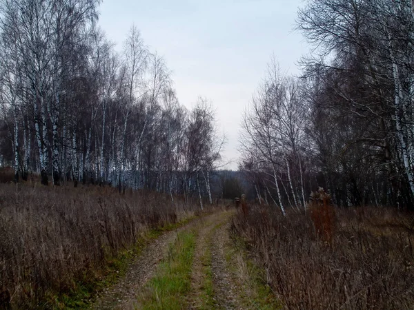 Droga Gruntowa Przez Pole Pochmurny Dzień Jesienią — Zdjęcie stockowe