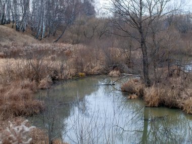 Sonbaharda, bulutlu bir günde, küçük bir orman nehrinin kıyısında.