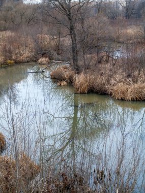 Sonbaharda, bulutlu bir günde, küçük bir orman nehrinin kıyısında.